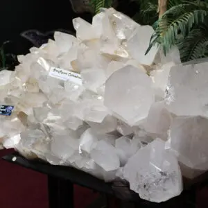 Large cluster of clear quartz crystals displayed.