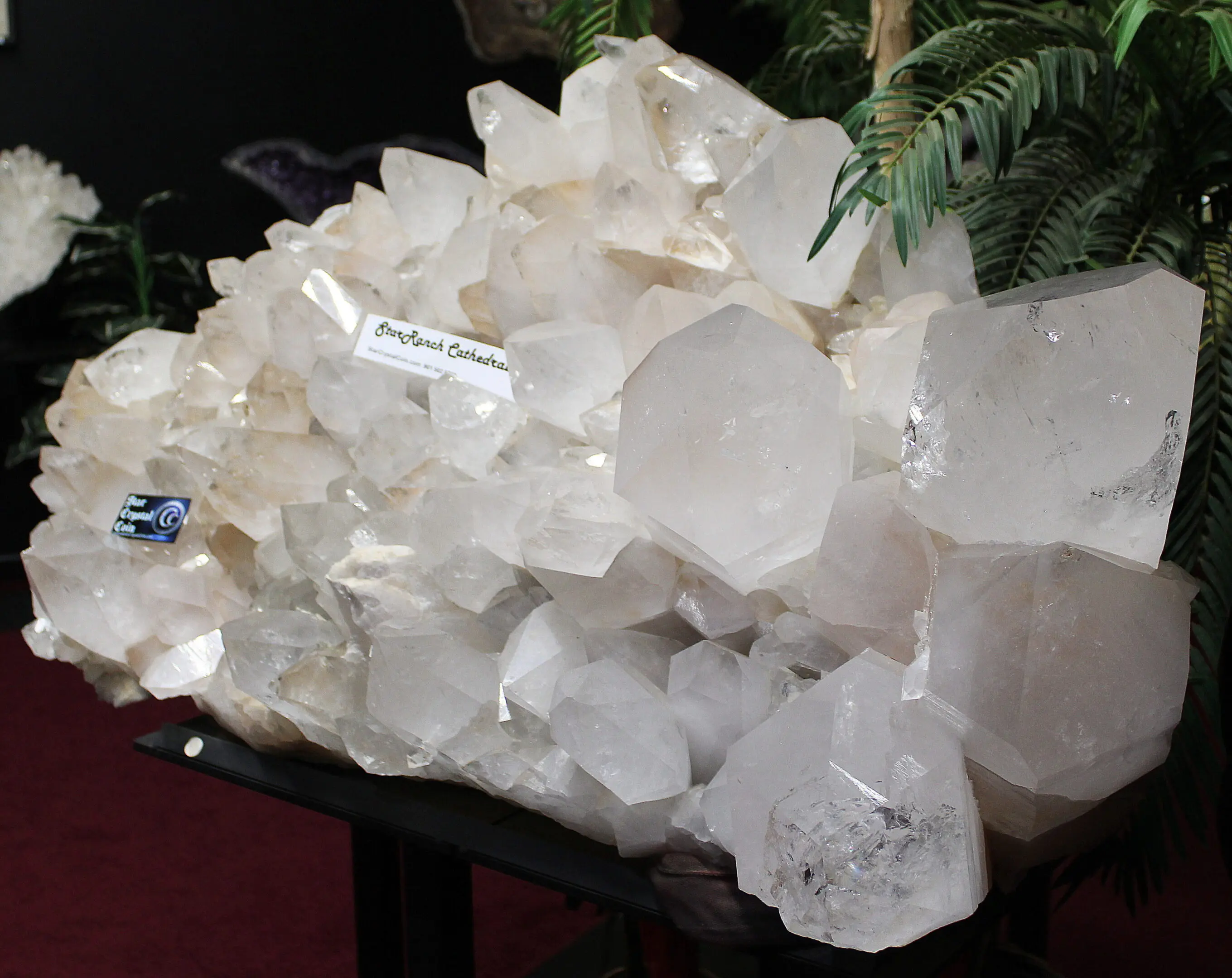 Large cluster of clear quartz crystals displayed.